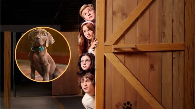Netflix estrena en 2027 su versión live-action de Scooby-Doo