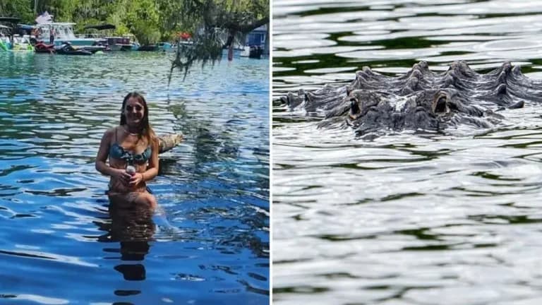 «Le arrancó los brazos»: Caimán atacó a Brittany Clark en un río de Florida