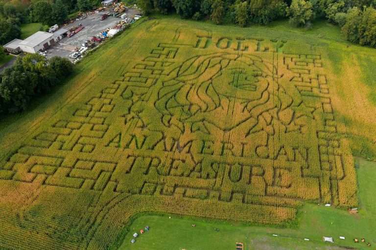 El homenaje a Dolly Parton entre maizales de Estados Unidos y Canadá